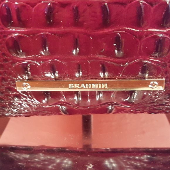 Brahmin Jody - Picture 2 of 8